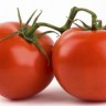 Zašto rajčice više nisu fine?