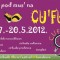 cufus_festival.jpg
