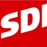 Izabrani potpredsjednici SDP-a