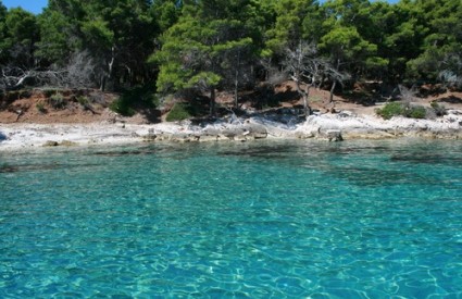 Uvala na otočiću Saplun Uvala na otočiću Saplun