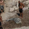 Turisti zlostavljali sredozemnu medvjedicu