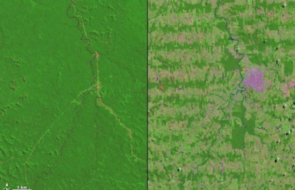 Vrhunac deforestacije je bio 2004. sa preko 24,000 kvadratnih kilometara posječenih