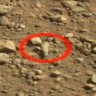 Curiosity snimio prst, sandalu i živo biće?