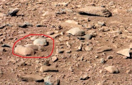 Zamorac na Marsu?