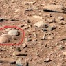 Curiosity snimio zamorca na Marsu?