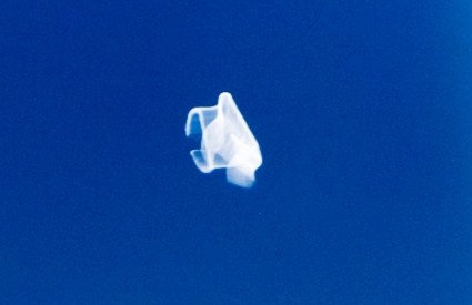 Svemirska meduza ili otpad?