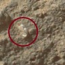 Curiosity snimio cvijet na Marsu
