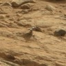 Curiosity snimio guštera na Marsu?