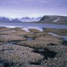 Na Grenlandu se samo u četvrtak otopilo 11 milijardi tona leda