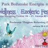 Park Božanske Energije na Wellness&Ezoteric Festu