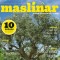 maslinar_lipanj.jpg