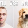 Kako bi vam izgledao život da ste pas?