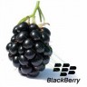 BlackBerry neće ostati izvan tržišta pametnih nosivih uređaja