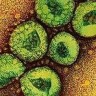 MERS ipak nije globalna prijetnja?