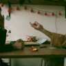 Ljubavna odiseja' Tatjane Božić 
od 4. prosinca u domaćim kinima