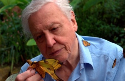 Sir David Attenborough u serijalu Prvi život