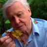 Prvi život Sir Davida Attenborougha na Viasat Nature