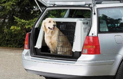 Ne ostavljajte psa u zatvorenom automobilu