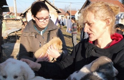 Zlostavljani psi se spašavaju, ali polako