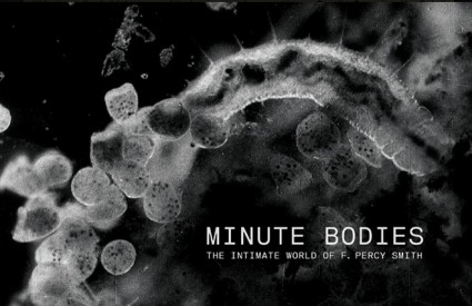 Genijalan glazbeni film Minute Bodies
