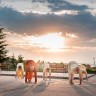 Besplatna ljetna joga na plažama i u parkovima Hrvatske