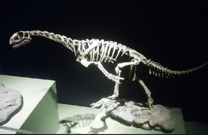 Chilesaurus već dvije godine zbunjuje znanstvenike