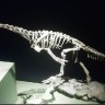 Frankestein dinosaur je karika koja nedostaje