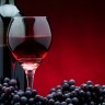 Organsko vino - izvor užitka