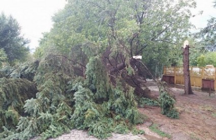 Dajte i vi svoj glas za očuvanje zelenih površina u Gradu