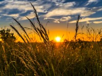 Sunce se oduvijek povezivalo s boljim raspoloženjem