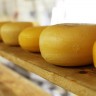Samo 40 g sira dnevno štiti vas od infarkta