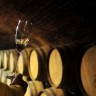 Nova bespovratna sredstva za vinare iz vinske omotnice
