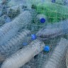 Koliko mikroplastike unosimo u organizam?
