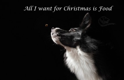 All I want for Christmas is food