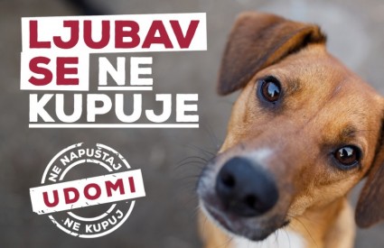 Ljubav se ne kupuje