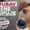 Počela kampanja: Ljubav se ne kupuje