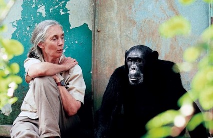 dr. Jane Goodall