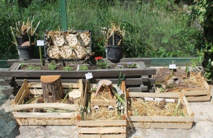 Dođite u Zoološki danas! Dođite u Zoološki danas!
