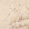 Izložen najstariji poznati Michelangelov crtež