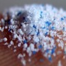 Mikroplastika pronađena u - posteljicama