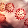 Kako funkcionira brzi test za koronavirus?