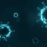 WHO saziva sastanak o novom soju koronavirusa