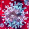 Novootkrivena mutacija najavljuje slabljenje koronavirusa?
