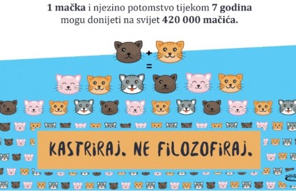 Kastriraj, ne filozofiraj