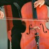 Prvi ovosezonski koncert ciklusa Vivat academia - Vivat violoncello