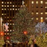 Otkrijte najčuvenija božićna drvca na svijetu