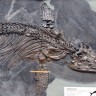 Otkriven dosad najveći fosil ihtiosaura