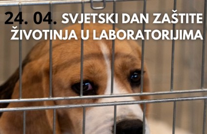 Jadne životinje i dalje muče u laboratorijima