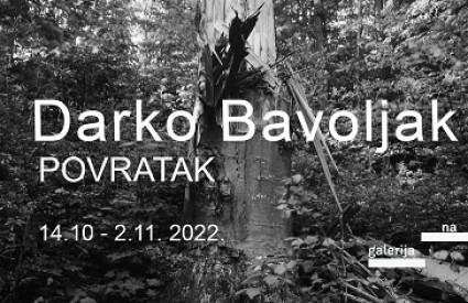 Darko Bavoljak