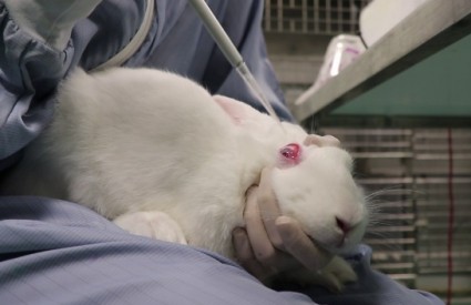Testiranje na životinjama nije više potrebno?